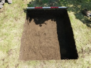 47 HighSt Wing First 10 cm 1-6-13 (640x480)